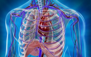 Diseases of the cardiovascular system